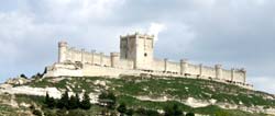 ribera del duero